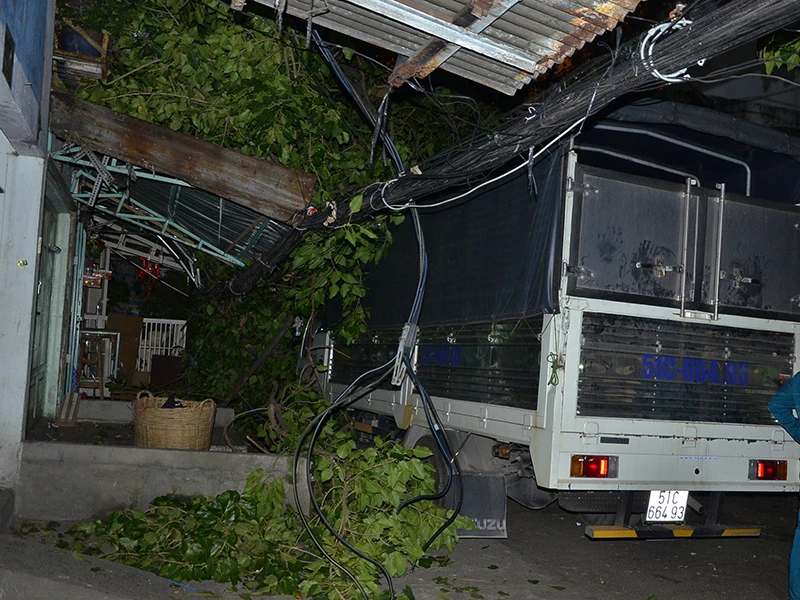 Tán cây khá rộng đè trúng hệ thống dây cáp khiến mất điện trên diện rộng